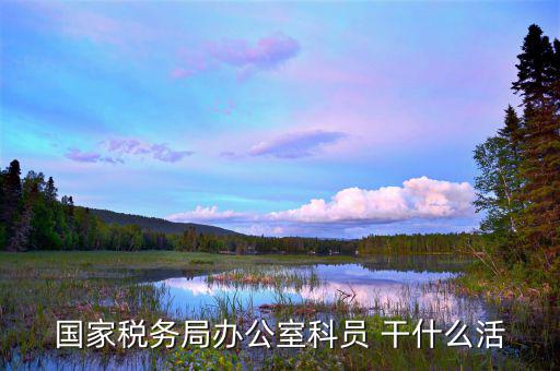國稅行政辦公室干什么，國稅局辦公室怎么樣