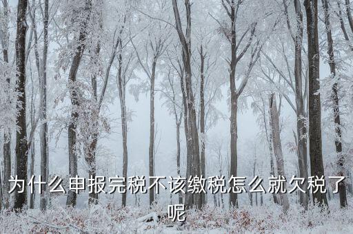 為什么國(guó)稅欠稅不催繳，因稅務(wù)機(jī)關(guān)原因未能及時(shí)繳納稅款是否屬于欠稅