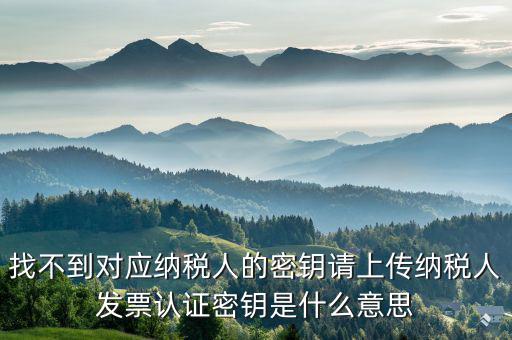 稅務(wù)的key是什么意思，國(guó)稅報(bào)稅用戶名與key不符什么意思