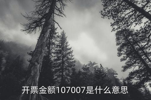 開票金額是什么意思，增值稅專用發(fā)票的各項(xiàng)金額分別是什么含義