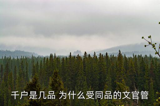 什么千戶集團(tuán)，千戶是什么意思