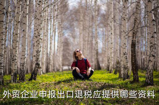退稅要什么資料，企業(yè)辦理退稅申請(qǐng)審批需要準(zhǔn)備一些什么材料