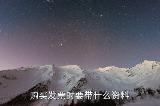 購發(fā)票 帶什么資料，購買增值稅普通發(fā)票需要帶什么資料