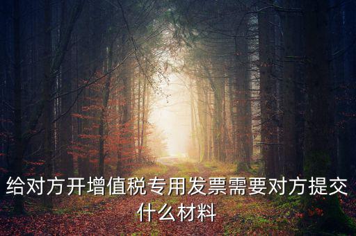 開專票要什么資料，加油卡開增值稅專用發(fā)票需要什么資料