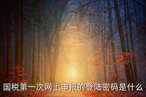 網(wǎng)上稅稅通密碼是什么，國稅第一次網(wǎng)上申報(bào)的登陸密碼是什么