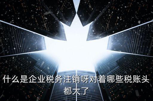 什么是錯(cuò)峰預(yù)約辦稅，網(wǎng)上辦稅系統(tǒng)納稅人未開通使用此介入軟件是什么意思