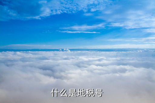 稅務(wù)賬號(hào)是什么，什么是地稅號(hào)