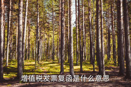 發(fā)票發(fā)函是什么意思，增值稅發(fā)票復(fù)函是什么意思