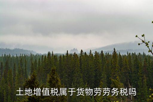 土地增值稅屬于什么稅種，土地增值稅是什么