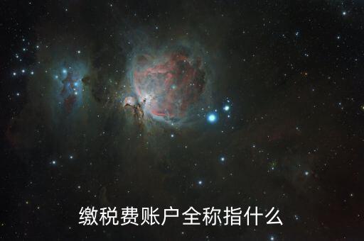 納稅賬戶是什么，我們公司申請的一個專門用來繳納稅款的賬戶是什么賬戶