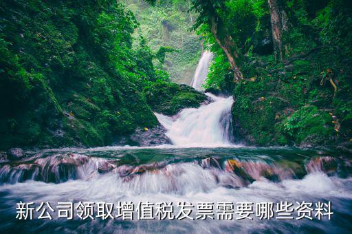 領發(fā)票需要什么，去稅務局領發(fā)票需要帶什么資料去