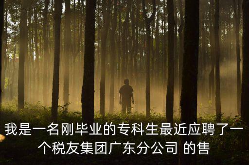 我是一名剛畢業(yè)的?？粕罱鼞?yīng)聘了一個(gè)稅友集團(tuán)廣東分公司 的售