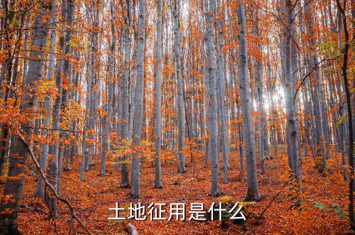 什么是土地報征，什么是征集土地