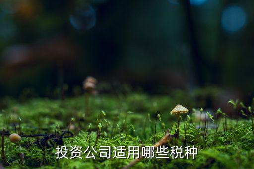 投資款需要交什么稅，投資公司適用哪些稅種
