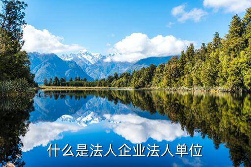 歸屬法人單位什么意思，所屬法人單位名稱什么意思