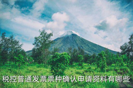 票種核定申請(qǐng)交什么資料，發(fā)票票種核定調(diào)整被拒需要提供什么資料
