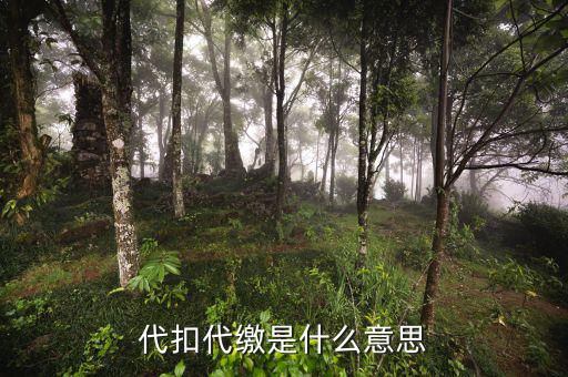稅務(wù)代收什么意思，代扣代繳是什么意思