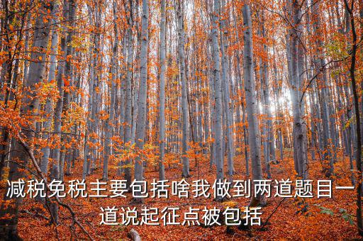 什么是減稅免稅，什么是稅收法定減免
