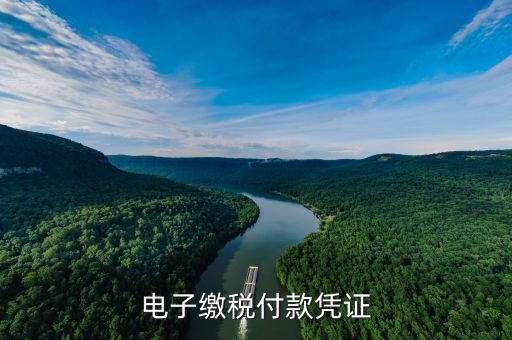 電子繳費(fèi)憑證是什么，電子繳稅付款憑證