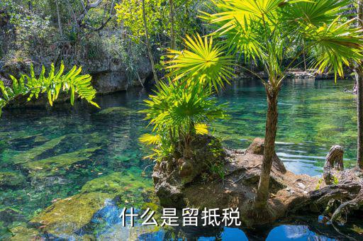什么是留底進項稅額，固定資產(chǎn)進項留底稅款是什么意思呀