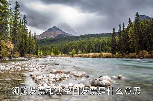 領取空白發(fā)票需要什么用，領用增值稅發(fā)票的時候內開的空白發(fā)票要帶嗎