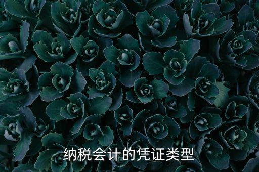 應(yīng)納稅憑證種類是什么，憑證種類999是什么
