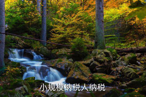 小規(guī)模以什么納稅，小規(guī)模納稅人納稅