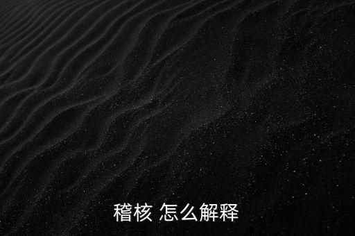 發(fā)票稽核補(bǔ)稅什么意思，稽核 怎么解釋