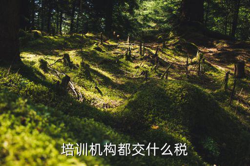 2017培訓(xùn)機(jī)構(gòu)交什么稅，培訓(xùn)機(jī)構(gòu)需要交稅的種類有多少