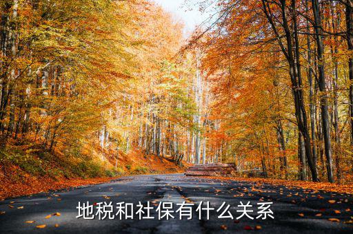 地稅和社保有什么關系
