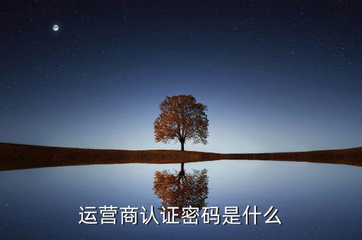 網(wǎng)上認證密碼密碼是什么，一般上網(wǎng)認證系統(tǒng)初始密碼是什么