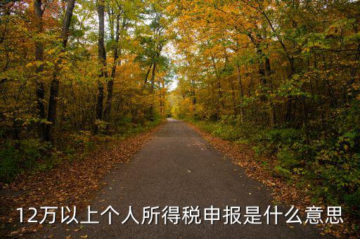 申報(bào)個(gè)稅什么意思，個(gè)稅明細(xì)申報(bào)是指什么