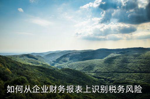 稅務(wù)風(fēng)險(xiǎn)核查是什么意思，虛開增值稅專用發(fā)票核查 什么意思