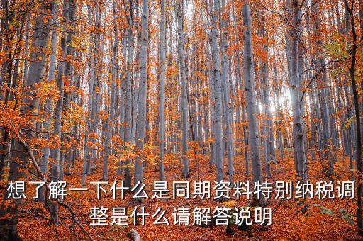 什么是特別納稅調(diào)整監(jiān)控管理階段，想了解一下什么是同期資料特別納稅調(diào)整是什么請解答說明