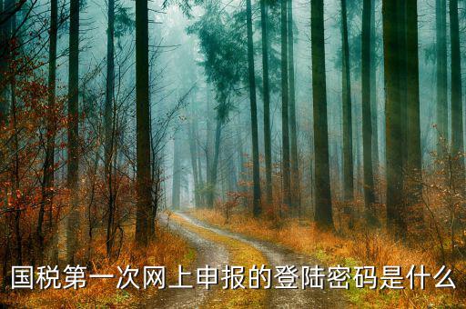 廣州國稅官網(wǎng)登錄密碼是什么，稅務(wù)局網(wǎng)站的登入賬戶初始密碼是什么