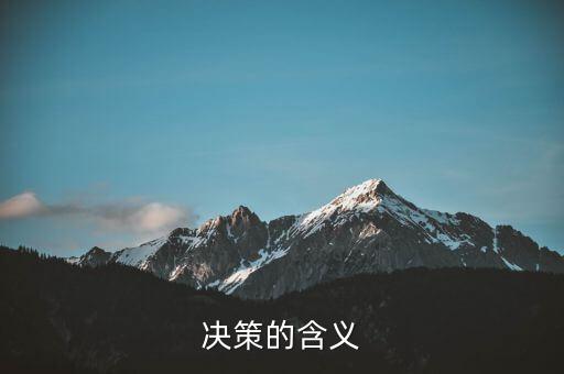 決策一包什么意思，決策的含義