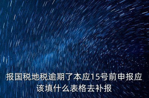 補(bǔ)錄國(guó)地稅信息都錄什么，報(bào)國(guó)稅地稅逾期了本應(yīng)15號(hào)前申報(bào)應(yīng)該填什么表格去補(bǔ)報(bào)