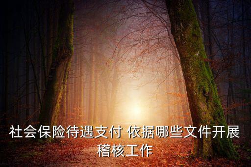 聯(lián)合稽查工作應(yīng)遵循什么，稅務(wù)稽查工作底稿必須包括哪些內(nèi)容