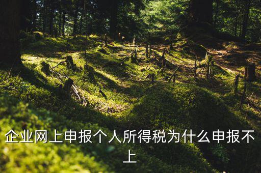 為什么稅務(wù)申報(bào)不了了，為什么申報(bào)不上