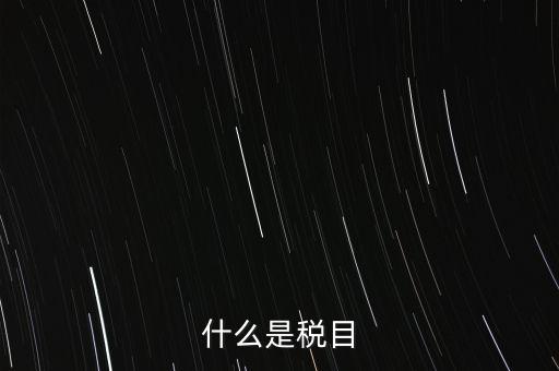 什么是稅法 文化，中華人民共和國(guó)地稅法