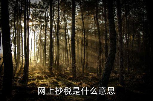 什么是網(wǎng)上抄報(bào)稅，抄稅和報(bào)稅是什么意思 應(yīng)該怎么做呢