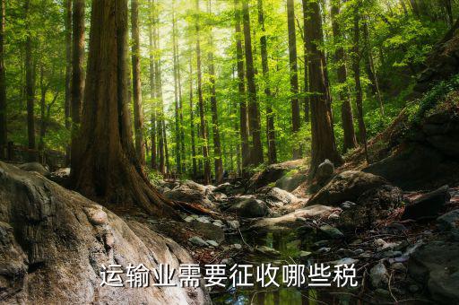 運輸公司需要交什么稅，企業(yè)運輸扣稅都有哪些稅
