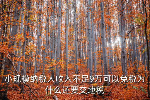 為什么納地稅，為什么要規(guī)定納稅地點