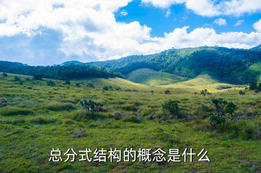 總分機(jī)構(gòu)標(biāo)志是什么意思，總分機(jī)構(gòu)納稅人是什么意思