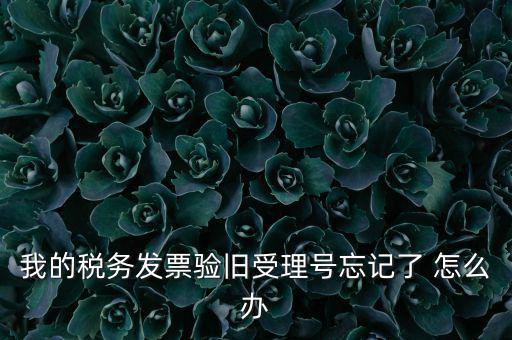 我的稅務(wù)發(fā)票驗(yàn)舊受理號忘記了 怎么辦