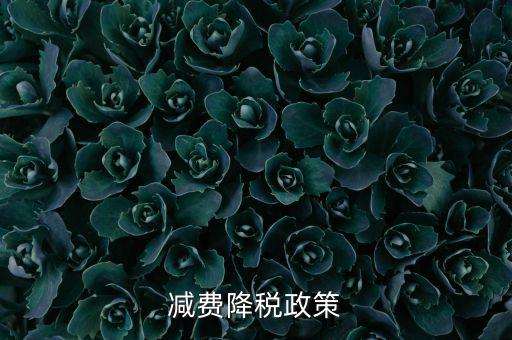 做好6項(xiàng)減稅政策的內(nèi)容是什么，減費(fèi)降稅政策