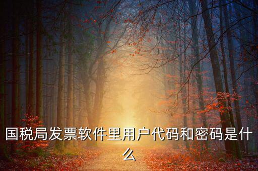 國(guó)稅局發(fā)票軟件里用戶(hù)代碼和密碼是什么