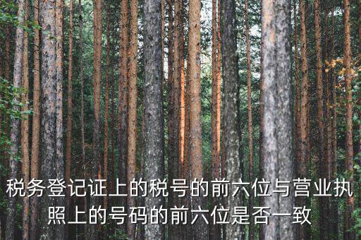 稅號(hào)前六位代表什么，納稅識(shí)別號(hào)前六位數(shù)為140111是什么意思