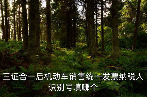 統(tǒng)一納稅識別號是什么，三證合一后機動車銷售統(tǒng)一發(fā)票納稅人識別號填哪個