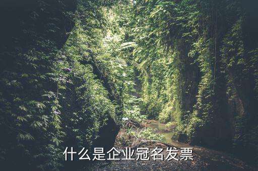 冠名發(fā)票屬于什么發(fā)票，什么是企業(yè)冠名發(fā)票